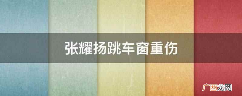《亚洲警察之高压线》甄子丹赴菲律宾缉捕杀妻仇人狄克的故事 张耀扬跳车窗重伤