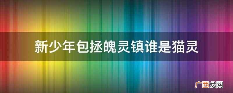 新少年包拯魄灵镇里陶艺 新少年包拯魄灵镇谁是猫灵