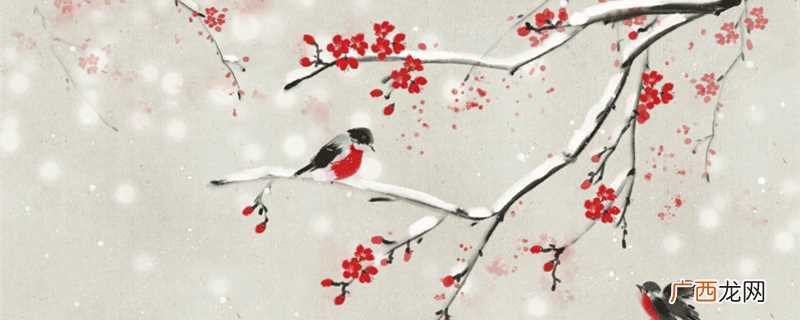 梅花香自苦寒来的意思是什么 梅花香自苦寒来的意思