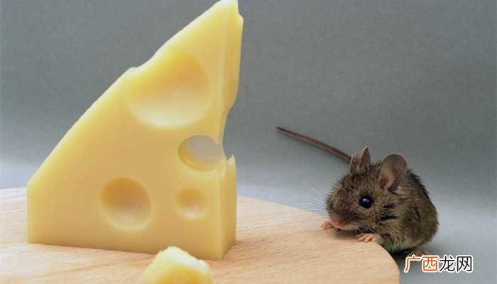 除四害是指苍蝇、蚊子、老鼠、蟑螂 除四害是哪四害