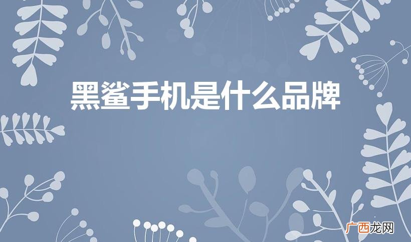 是哪个厂商的 黑鲨手机是什么品牌