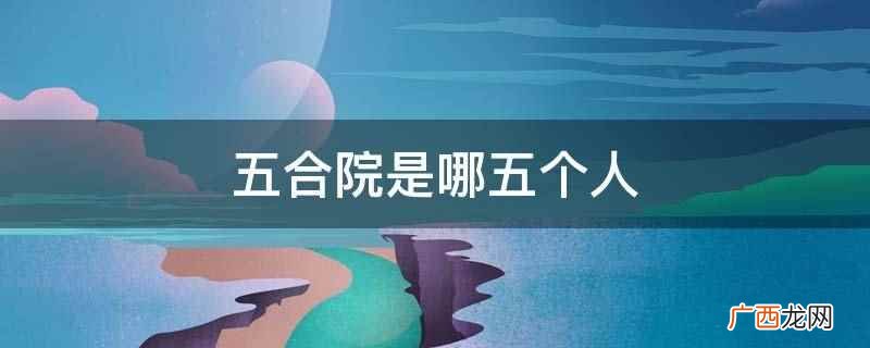五合院是薛之谦、王俊凯、易烊千玺、王源,还有他们的粉丝 五合院是哪五个人