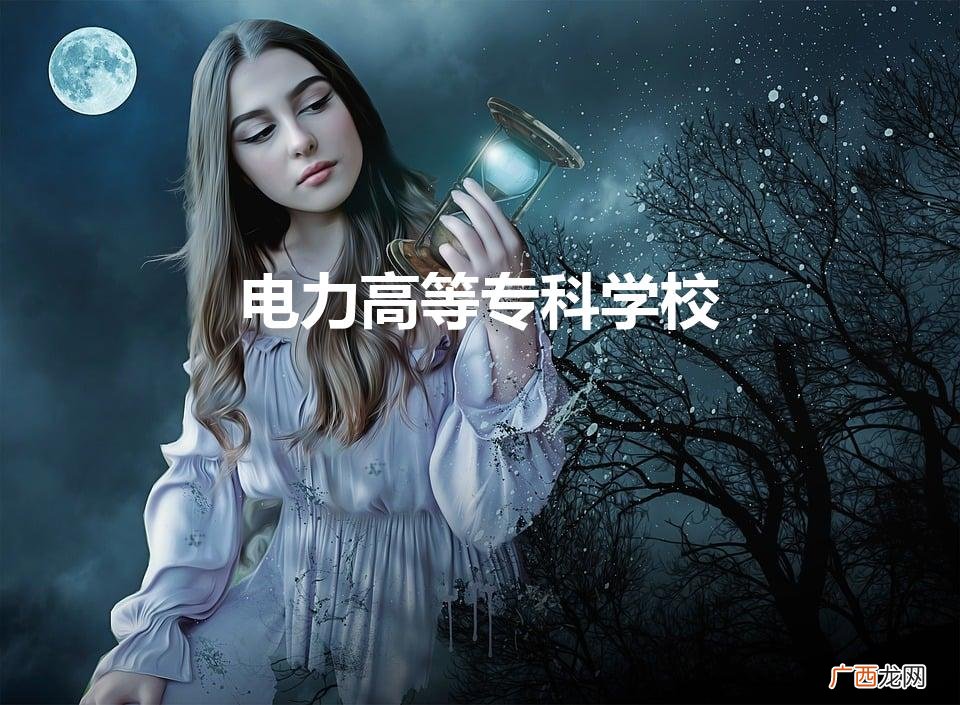 电力高等专科学校（电力高等专科学校有哪些)