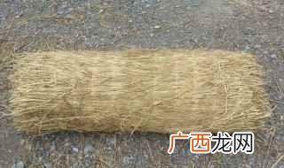 禾秆草用作燃料后剩余灰又成为农人常用的富钾无机肥 禾秆草功效