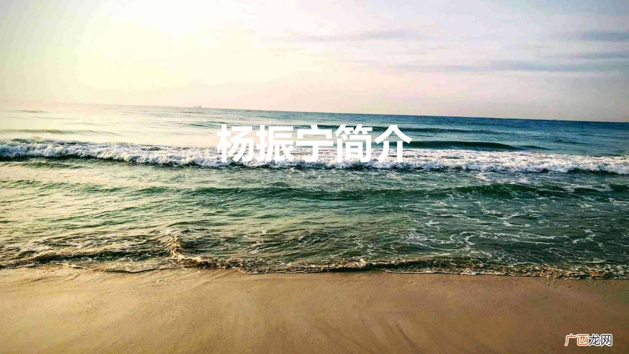 杨振宁是我国最伟大的物理学家 杨振宁简介