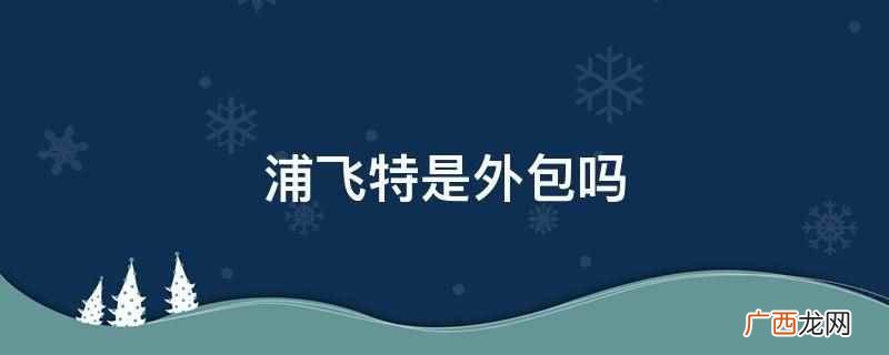 北京浦飞特信息科技有限公司 浦飞特是外包吗