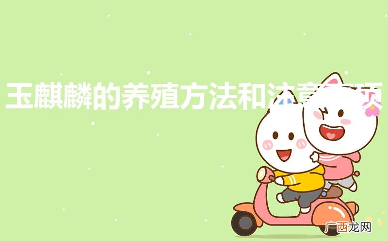 玉麒麟花的养殖方法 玉麒麟的养殖方法和注意事项