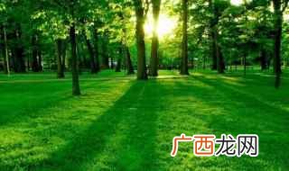 形容草木等绿色植物仿佛饱含水分一样 形容绿色的词语