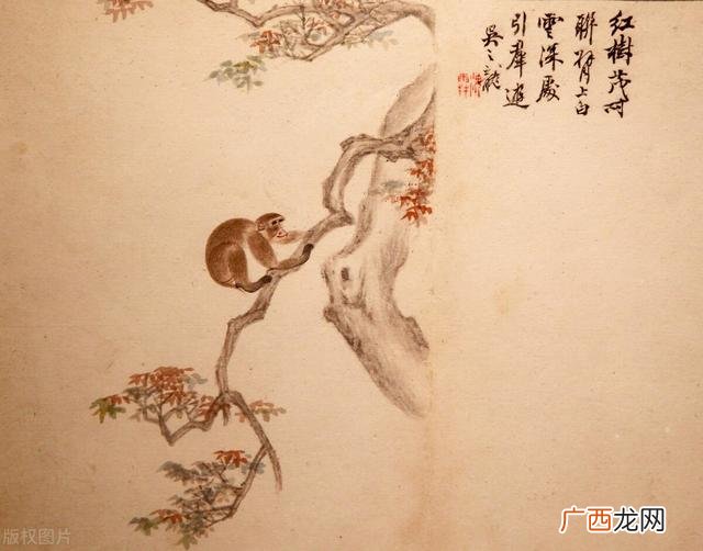 洞察人心最厉害的四大生肖 洞察人心最厉害的生肖有哪些