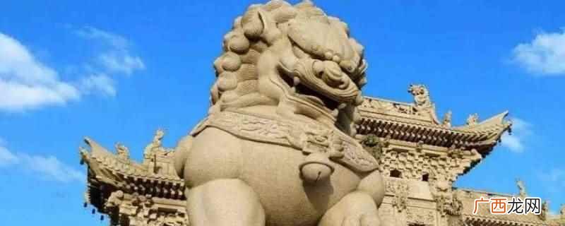 可以放象,狮子和大象是可以摆放在一起的 农村对门放狮子我可以放象吗