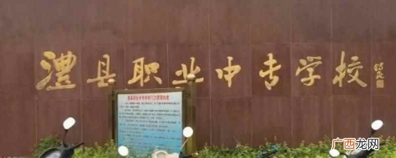 湖南省澧县兰江职业中专学校 澧县兰江职中有师范专科吗