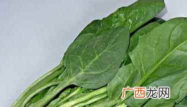 长杆菠菜和短杆菠菜营养价值 菠菜的营养价值与功效作用