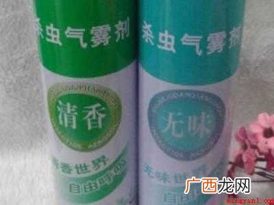 垃圾袋里的小飞虫怎么清除的具体操作步骤 垃圾袋里的小飞虫怎么清除