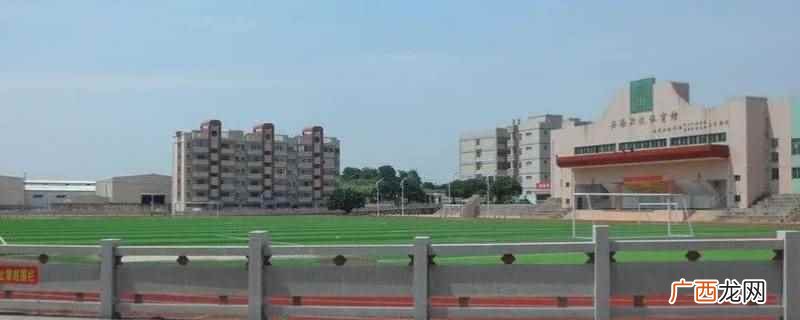 安海鸿江中学校长是杨少雄 安海鸿江中学校长是谁