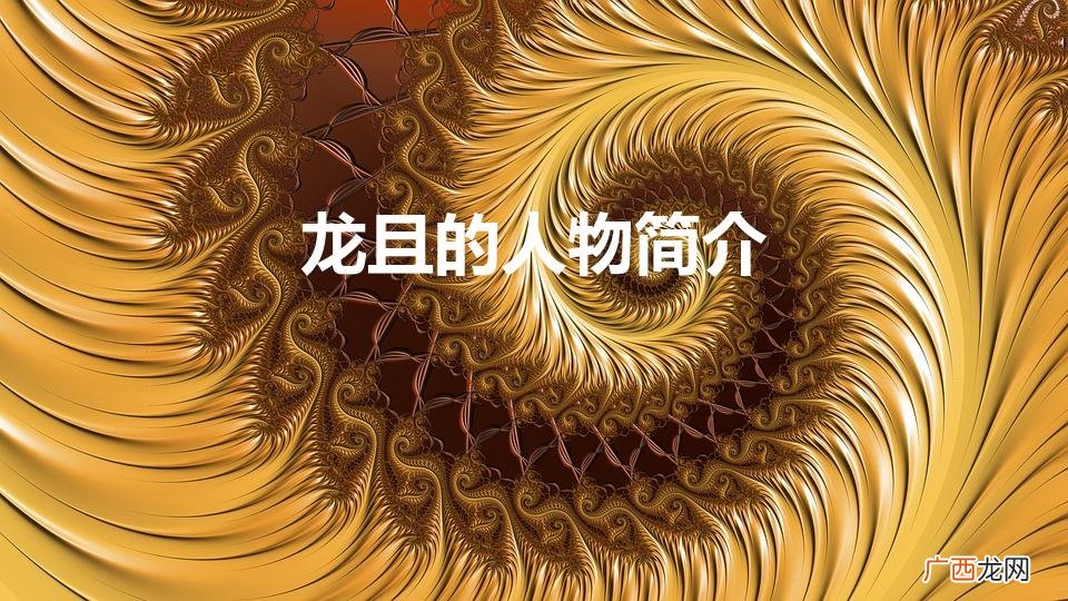 龙且的人物简介（龙的人物特点)