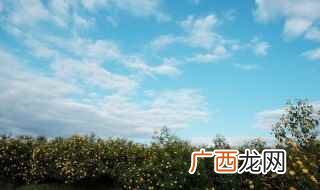 cpl是什么意思 cpl具体是什么意思