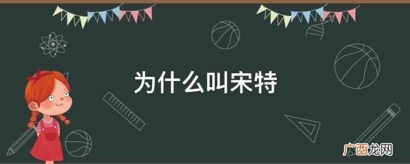 宋特来源于网友写的同人文 为什么叫宋特