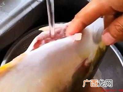 鲳鱼怎么处理干净的具体操作步骤 鲳鱼怎么处理干净