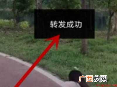 演示机型:Iphone 12 抖音怎么开启转发功能