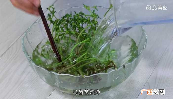 马苋菜的做法怎么做好吃 马苋菜的做法的做法