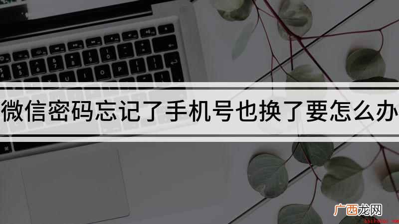 微信密码忘记了怎么解决 微信密码忘记了手机号也换了要怎么办