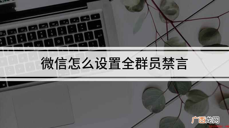 如何保持手机微信群里的安静 微信怎么设置全群员禁言