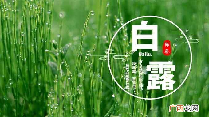 古人以四时配五行,秋属金,金色白,以白形容秋露,故名“白露” 白露吃什么食物