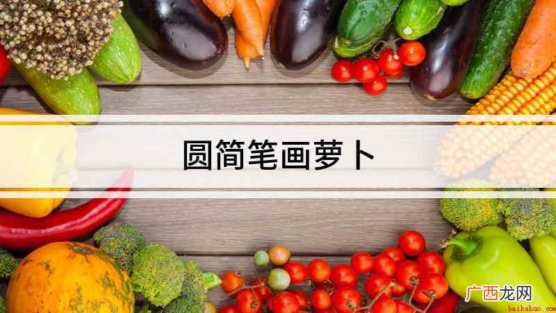 圆萝卜胖胖的果实,画的圆润一些,后面带条小尾巴 圆简笔画萝卜