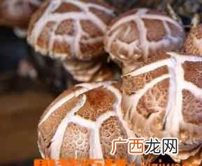 香菇的功效与作用 香菇的营养价值和功效作用