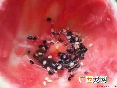 西瓜种子怎么保存到下一年种