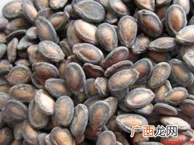 西瓜种子怎么保存到下一年种