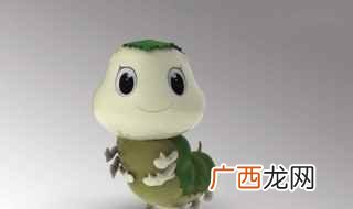 蚂蚁吃蚕的注意事项 桑蚕怎么养