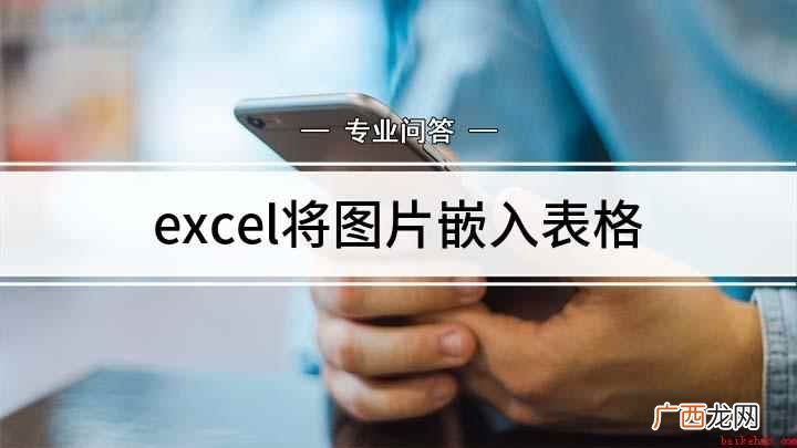 Excel表格中插入图片 excel将图片嵌入表格