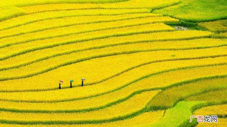符号kg 千克是国际单位制中度量质量的基本单位 1吨多少公斤