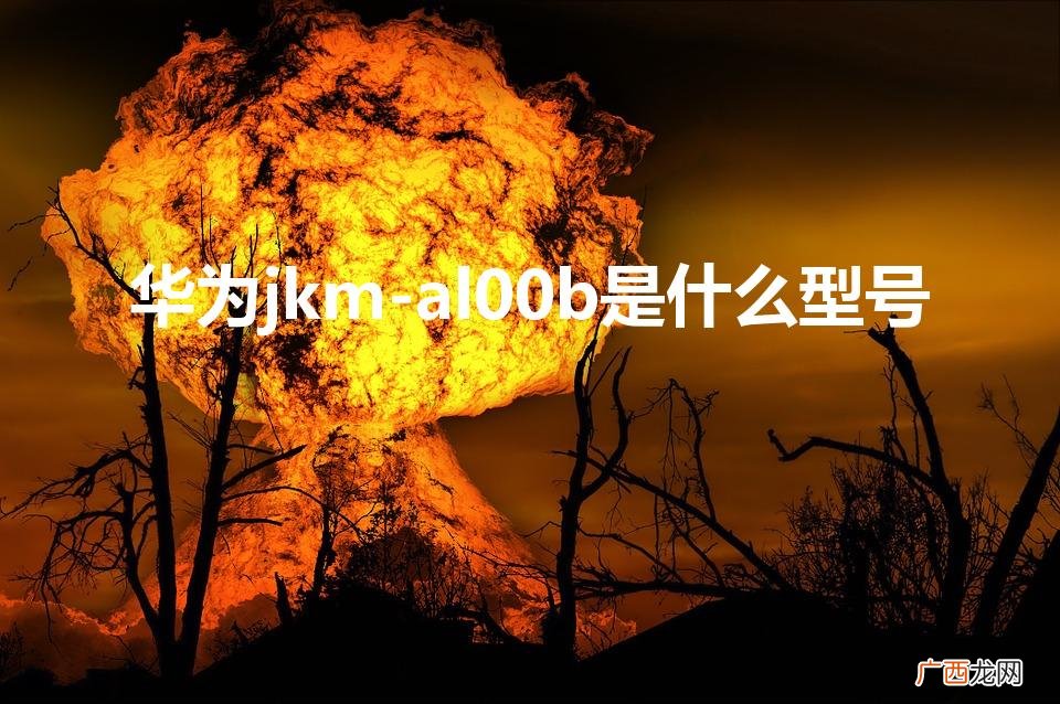 是哪个型号的手机 华为jkm-al00b是什么型号