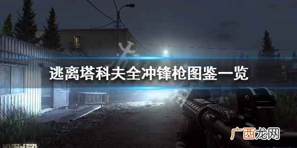 逃离塔科夫全冲锋枪图鉴一览 逃离塔科夫全冲锋枪属性详解