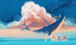鲸的特点简介 鲸的相关知识