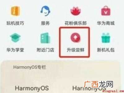 华为nova4e怎样升级鸿蒙系统的具体操作步骤 华为nova4e怎样升级鸿蒙系统
