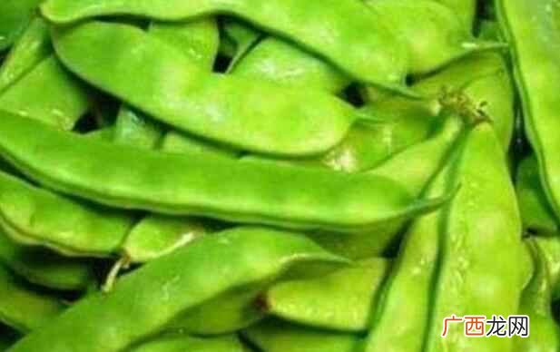 扁豆的功效与作用 扁豆的热量