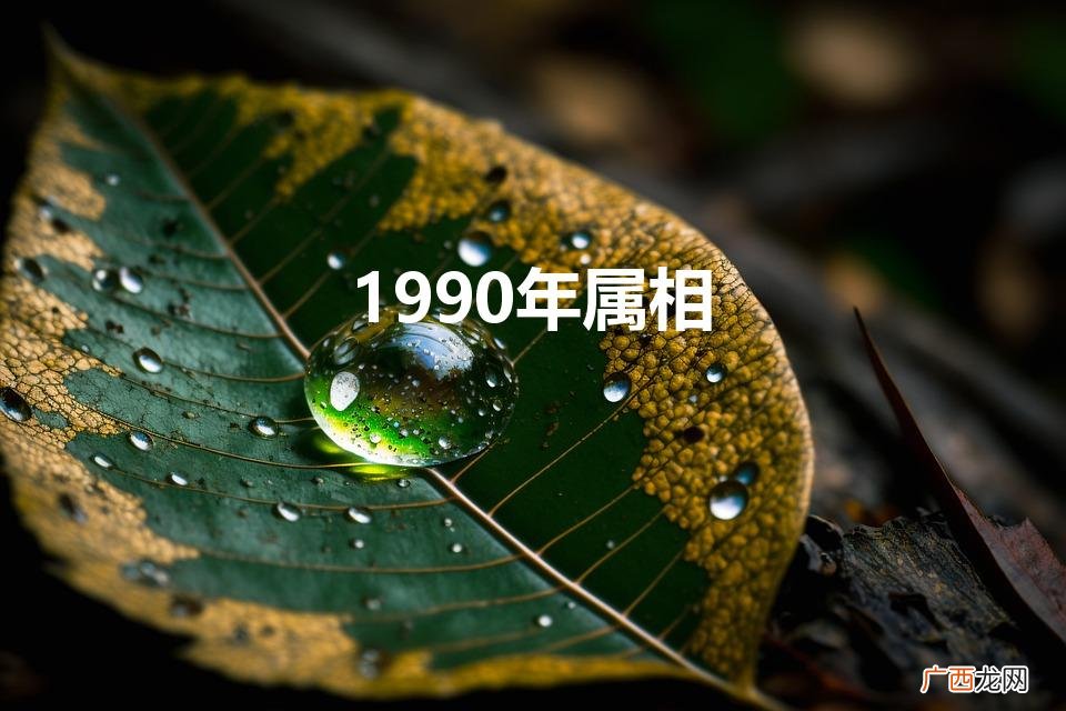 1990年属相是什么生肖 1990年属相