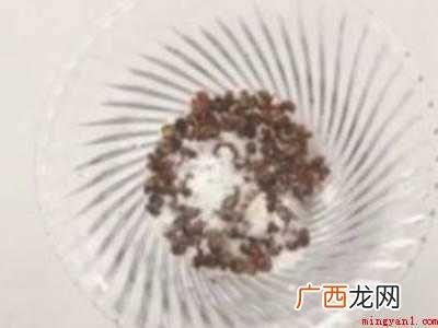 院子里蚊子多怎么解决的具体操作步骤 院子里蚊子多怎么解决
