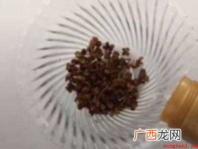 院子里蚊子多怎么解决的具体操作步骤 院子里蚊子多怎么解决