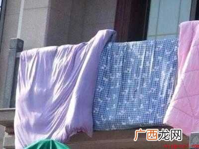 卧室小绿叶蝉怎么去除的具体操作步骤 卧室小绿叶蝉怎么去除