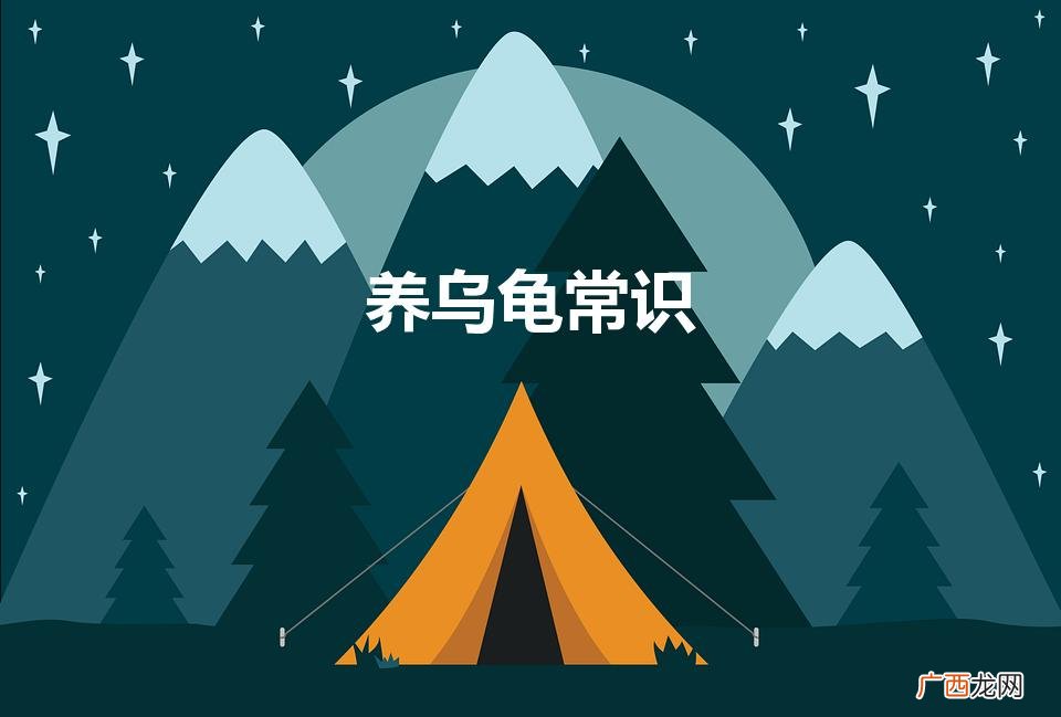 养乌龟常识（养乌龟指南)