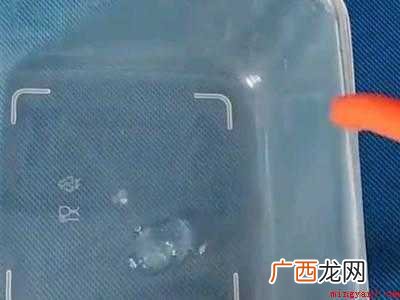 怎样在室内快速抓蚊子的具体操作步骤 怎样在室内快速抓蚊子