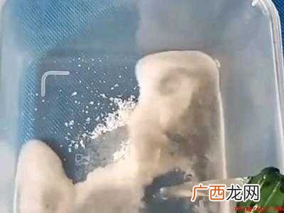 怎样在室内快速抓蚊子的具体操作步骤 怎样在室内快速抓蚊子