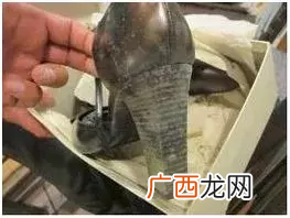 鞋子受潮发霉起黑点有效处理方法 鞋子发霉怎么洗掉霉斑