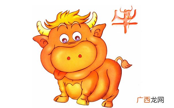 属牛人的本命年需要忌什么 属牛本命年需要注意什么