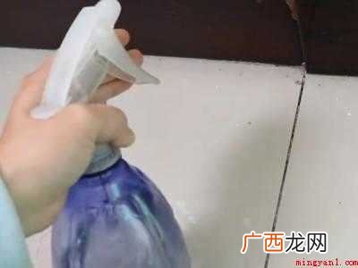室内潮虫怎么彻底消灭的具体操作步骤 室内潮虫怎么彻底消灭