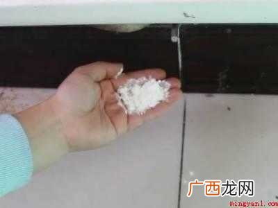 室内潮虫怎么彻底消灭的具体操作步骤 室内潮虫怎么彻底消灭